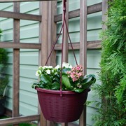 Кашпо подвесное 4,5л бордо - фото 52226