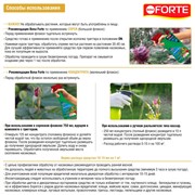 БОНА ФОРТЕ спрей + концентрат от тли и паутинного клеща 750мл + 250мл - фото 52239