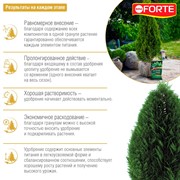Удобрение БОНА ФОРТЕ для хвойных 2,5кг - фото 52246
