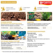 Удобрение БОНА ФОРТЕ для хвойных 2,5кг - фото 52247