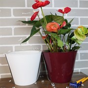 Кашпо Классика 5л бордо - фото 52361