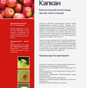 Капкан 250мл - фото 52441