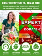 Кораген Картофель, томат 1мл против колорадского жука и личинок - фото 52460