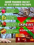 Кораген Картофель, томат 1мл против колорадского жука и личинок - фото 52461