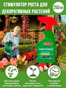 БОНА ФОРТЕ тоник для листьев 250мл - фото 52493