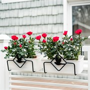 Кронштейн для балконного ящика Птичка длина 29см металл 203-001 - фото 52498