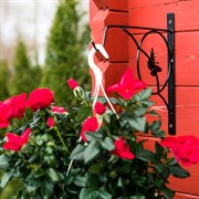 Кронштейн настенный для цветов Бабочка длина 30см металл 52-026 - фото 52569
