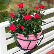 Кронштейн садовый навесной на 1 горшок 29см металл 51-408 - фото 52577