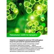 Суспензия Хлореллы 0,25л природный биостимулятор - фото 52691