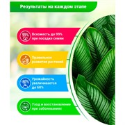 Суспензия Хлореллы 1л биоудобрение стимулятор роста - фото 52697