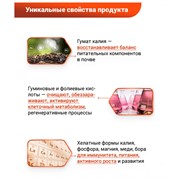 Удобрение БИО-комплекс БиоГумат 1л - фото 52706