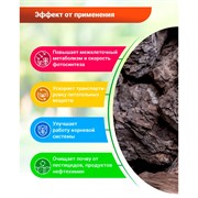 Удобрение БИО-комплекс БиоГумат 1л - фото 52707