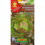 Салат Витаминный сундучок полукочанный - фото 53206
