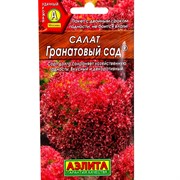 Салат Гранатовый сад листовой - фото 53238