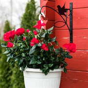 Кронштейн для цветочного кашпо Ласточка металл 201-007 - фото 53248