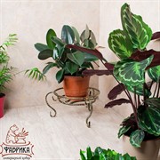 Цветочница напольная Классика на 1 цветок кованая высота 22см 70-151 - фото 5324