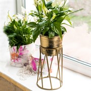 Подставка Лофт под золото кованая на подоконник 66-604-G - фото 53324