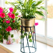 Подставка Лофт черная кованая на подоконник 66-604-B - фото 53334 Подставка Лофт черная кованая на подоконник 66-604-B - фото 53334