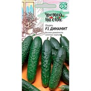 Семена Огурец Динамит F1 10шт Гавриш - фото 53376 Семена Огурец Динамит F1 10шт Гавриш - фото 53376