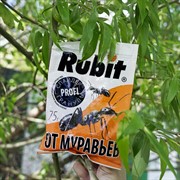 Рубит Спайдер гранулы от муравьёв 75г - фото 53408