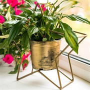 Подсвечник кованый Звезда под одну свечу 607-35-G - фото 53434