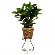 Подставка напольная на 1 цветок Классика металл бронза высота 46см 70-021 - фото 53597