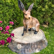 Крышка люка декоративная Пень дубовый на 60 см U09102 - фото 53614