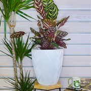 Кашпо Флоу белое 38,5х42см 36л с вкладышем 13,7л - фото 53762