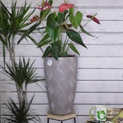 Кашпо Флоу Слим таупэ 24л 29х48 с вкладышем 5,5л - фото 53798