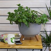 Кашпо РОМА ЭКО Jumper на ножках 29х23см 7.5л серый - фото 53799