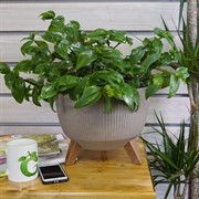 Кашпо РОМА ЭКО Jumper на ножках 29х23см 7.5л кофе латте - фото 53800