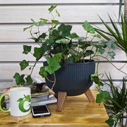 Кашпо РОМА ЭКО Jumper на ножках 24х19см 5,1л антрацит - фото 53804