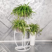 Стойка под цветы напольная металлическая 5 полок 501-006 - фото 53883