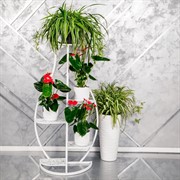 Стойка под цветы напольная металлическая 5 полок 501-006 - фото 53884