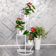 Стойка под цветы напольная металлическая 5 полок 501-006 - фото 53885