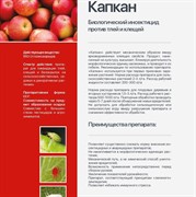 Капкан 250мл - фото 53942
