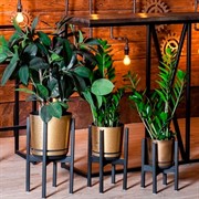 Подставка под цветы металл 66-204 - фото 54476