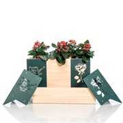 Кронштейн угловой для высоких грядок Роза 801-008Gr - фото 54528