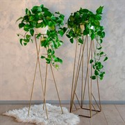 Стойка для флористики Лофт 12*12 см 66-436 - фото 54556