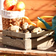 Ящик для хранения овощей деревянный 895-24 - фото 54743