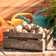 Ящик для хранения овощей деревянный 895-24 - фото 54744