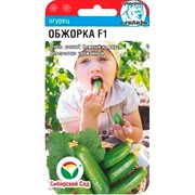 Огурец Обжорка - фото 54851 Огурец Обжорка - фото 54851