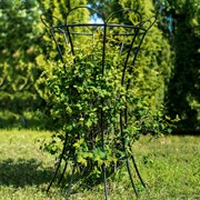 Опора металлическая для растений черная 58-914B - фото 54953