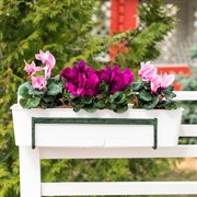 Подставка балконная для цветов кованая длина 41см 51-032 - фото 55041