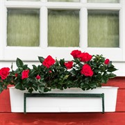 Подставка балконная для цветов кованая длина 41см 51-032 - фото 55047