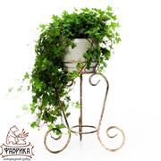 Подставка напольная Лоза на 1 цветок 38см кованая 11-111 - фото 5506