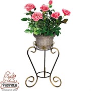 Подставка напольная Лоза на 1 цветок 38см кованая 11-111 - фото 5507