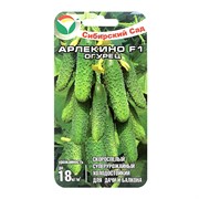 Огурец Арлекино 5 шт - фото 55252 Огурец Арлекино 5 шт - фото 55252