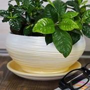 Горшок ОНИКС 1,2л плошка жемчужно-желтый 17см - фото 55326