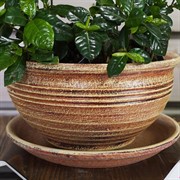 Горшок ФИАЛОЧНИЦА 1,5л Кантри беж 19см - фото 55386